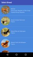 Dog Breeds (English) تصوير الشاشة 3