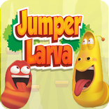 jumper larva
