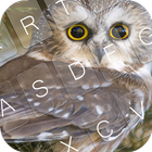 Sweet Owl Keyboard Theme icono