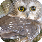 Sweet Owl Keyboard Theme icône