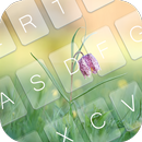 Spring Skin for Keyboard APK