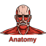 360 Anatomy icône