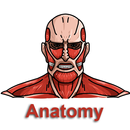 360 Anatomy APK