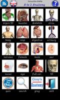 360 Anatomy Affiche