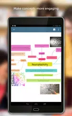 GoConqr Mind Maps APK download