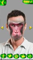 Monkey Selfie Affiche