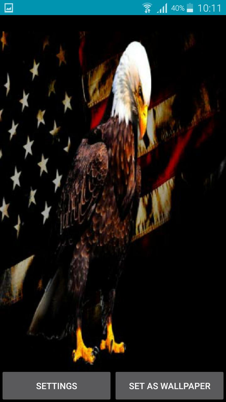 American Eagle Live Wallpaper For Android Apk Download