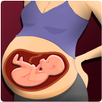 Pregnant Lady Surgery Doctor APK