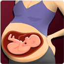 Pregnant Lady Surgery Doctor APK