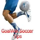 GoalWin Soccer Tips APK