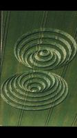 Crop Circle Wallpapers ポスター