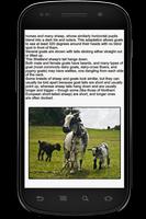 Goat Info Book ảnh chụp màn hình 1