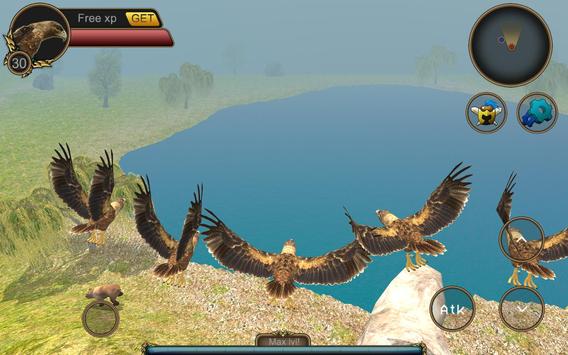 Bird Games Bird Games