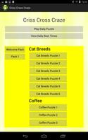 Criss Cross Craze ภาพหน้าจอ 3