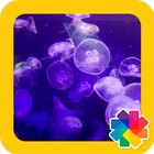 Jellyfish Wallpapers 图标