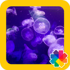 Jellyfish Wallpapers icon