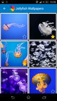 Jellyfish Wallpapers 海报