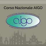 AIGO FAST icono