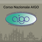 AIGO FAST icon