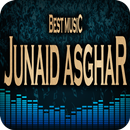 Best Junaid Asghar - Sochta Hoon Full Songs APK