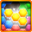 ”Hexa Puzzle - Block Puzzle Master