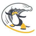 Surfing Penguin