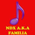 Lagu NDX A.K.A. Familia New