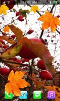 Best Autumn Wallpapers HD 截圖 1