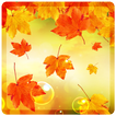 Leaves Falling Free Live Wallpaper