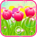 Tulips Amazing 2016 LWP