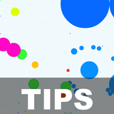 Tips for Agar.io icône