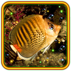 Fishes Underwater lwp آئیکن