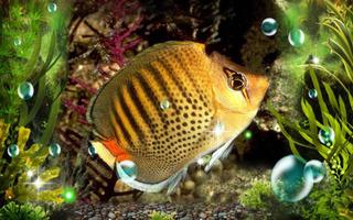 Fishes Underwater lwp اسکرین شاٹ 3