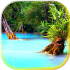 Jungle Lake Live Wallpaper simgesi