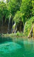 برنامه‌نما Jungle Lake Live Wallpaper عکس از صفحه