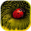 Lady Beetle Nice Live Wallpaper APK
