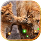 آیکون‌ Lion Cubs live wallpaper