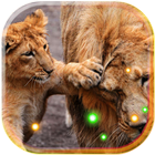 Lion Cubs live wallpaper icon