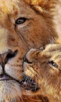 برنامه‌نما Lion Cubs live wallpaper عکس از صفحه