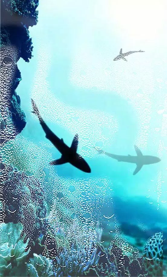 Descarga de APK de Tiburones Océano Fondos Pantalla Animados para Android Descarga de APK de Tiburones Océano Fondos Pantalla Animados para Android