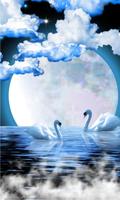 Swans Moon Night LWP-poster