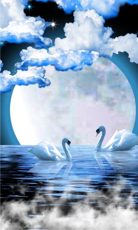 Луна лебединая. Лебеди в лунном свете. Лебедь при Луне. Два лебедя в лунном свете. Лебеди при лунном свете.