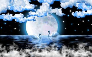 Swans Moon Night LWP Ekran Görüntüsü 3