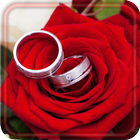 Roses Romantic ikona