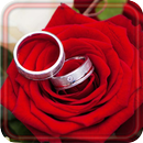 Roses Romantic live wallpaper aplikacja