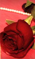 Roses Romantic capture d'écran 1