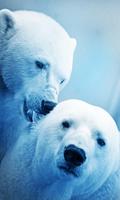 White Bear live wallpaper 포스터