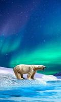 برنامه‌نما White Bear live wallpaper عکس از صفحه