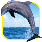 Ocean blue dolphins puzzle icône