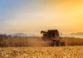 Fram Combine Harvesters Puzzle capture d'écran 1